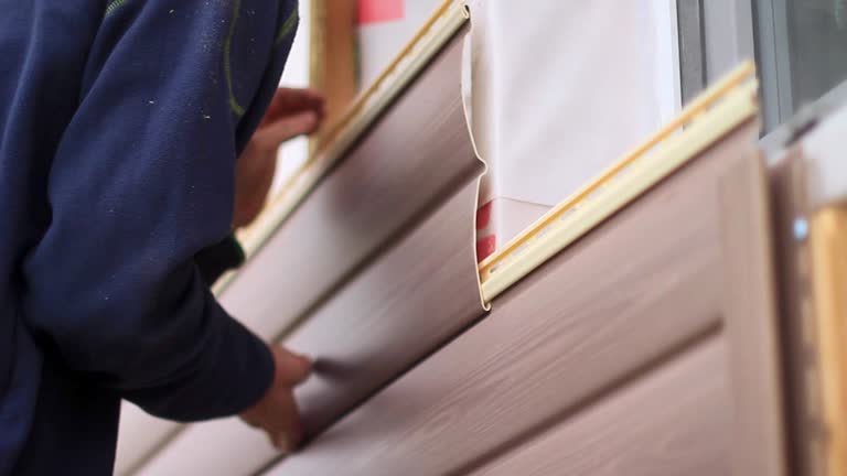 Affordable Siding Repair and Maintenance Services in Shields, MI